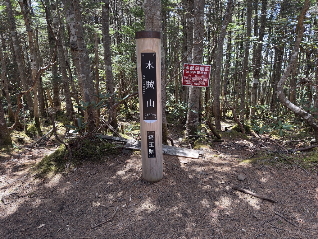 木賊山・到着!(表高2469m)画面右が鶏冠尾根入口です(木賊山で撮影)