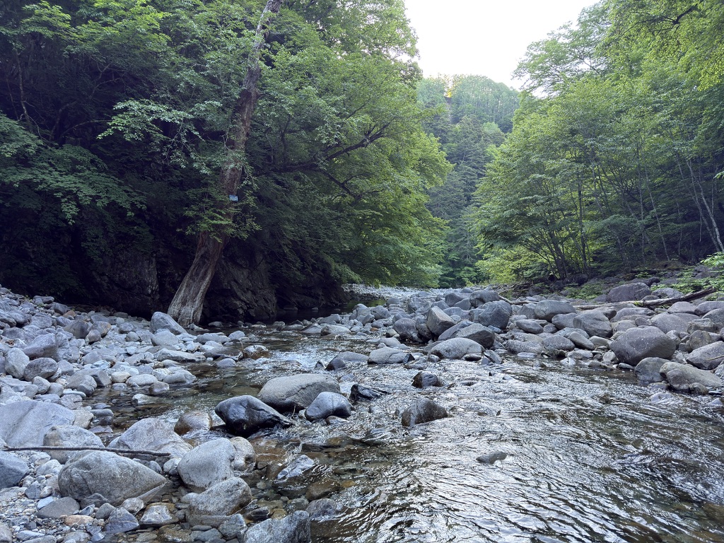 増水することもあるので注意しましょう⚠️(鶏冠谷出合で撮影)