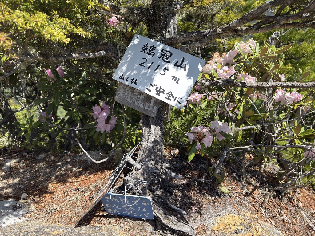 鶏冠山にはたくさんの山頂看板がありました☺️(鶏冠山山頂で撮影)