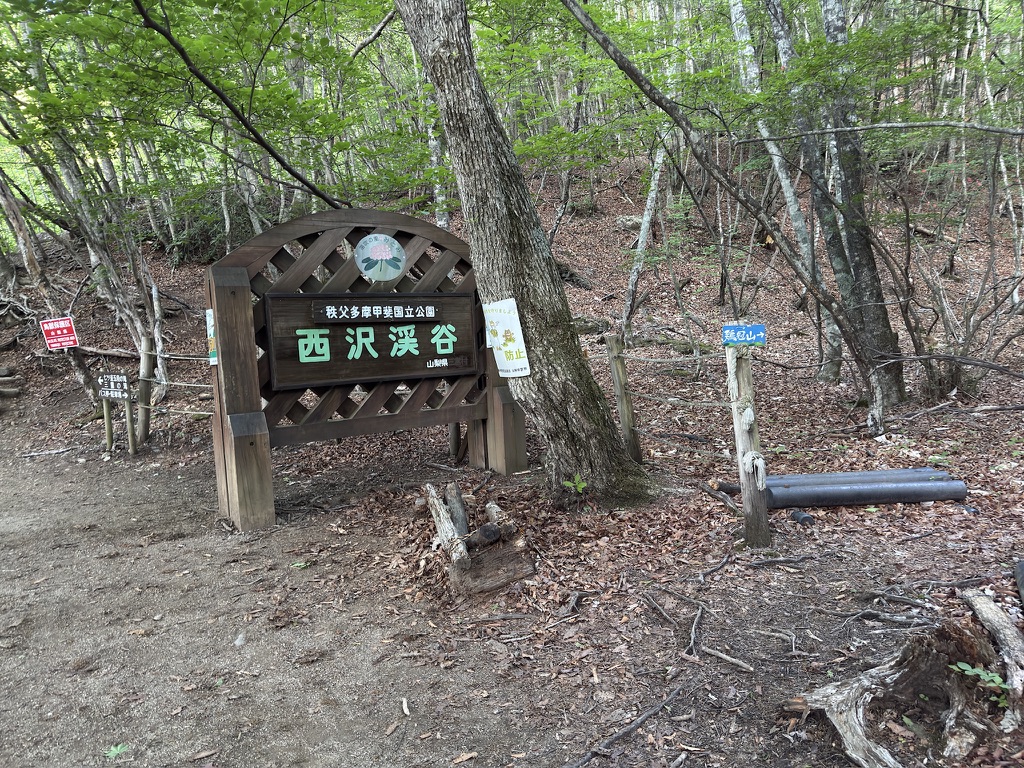 ここが鶏冠山の入口　右手に進みます（鶏冠山登山口で撮影）