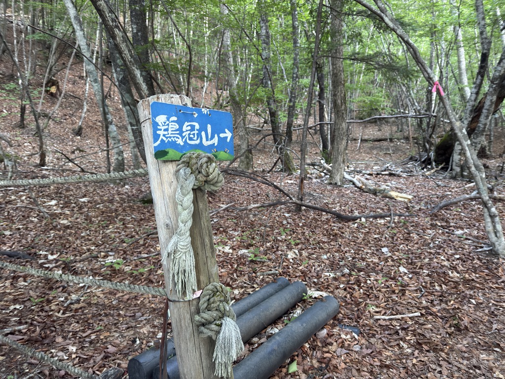 二俣吊橋を渡ってすぐ右手が登山口です(鶏冠山登山口で撮影)
