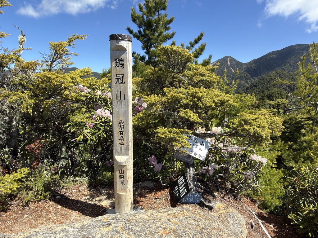 山梨百名山・鶏冠山（標高2115m）山頂碑（鶏冠山山頂で撮影）