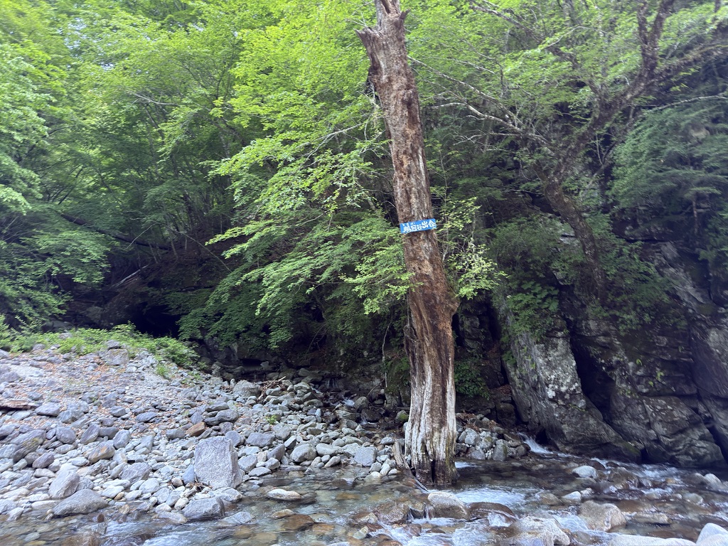 川向こうに見える看板「鶏冠谷出合」（鶏冠谷出合で撮影）