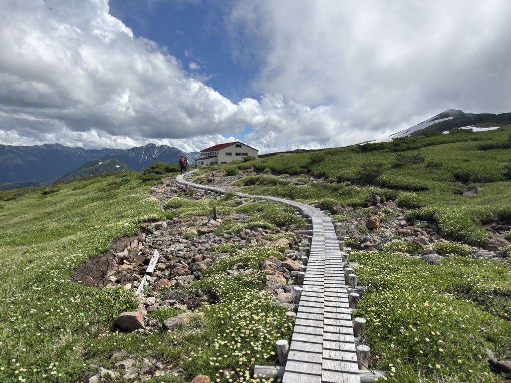 木道・登山道以外は立入禁止です!(五色ヶ原で撮影)