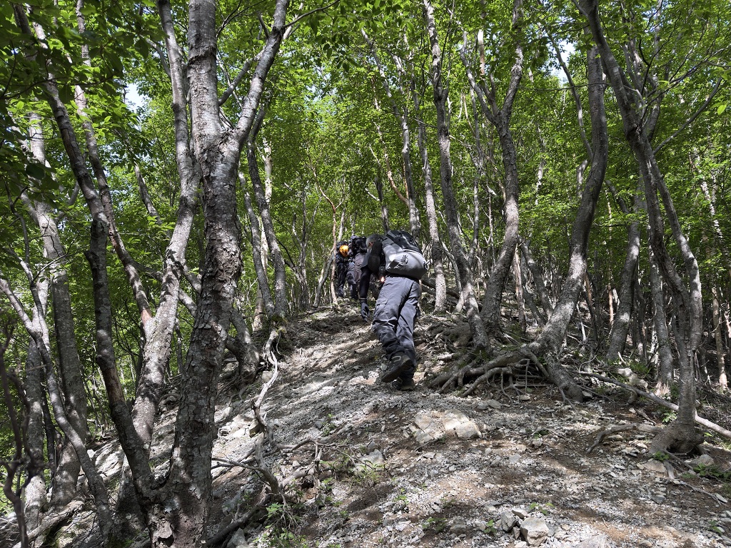 調子よく急登を登る！（ログハウスから横岳峠の間で撮影）
