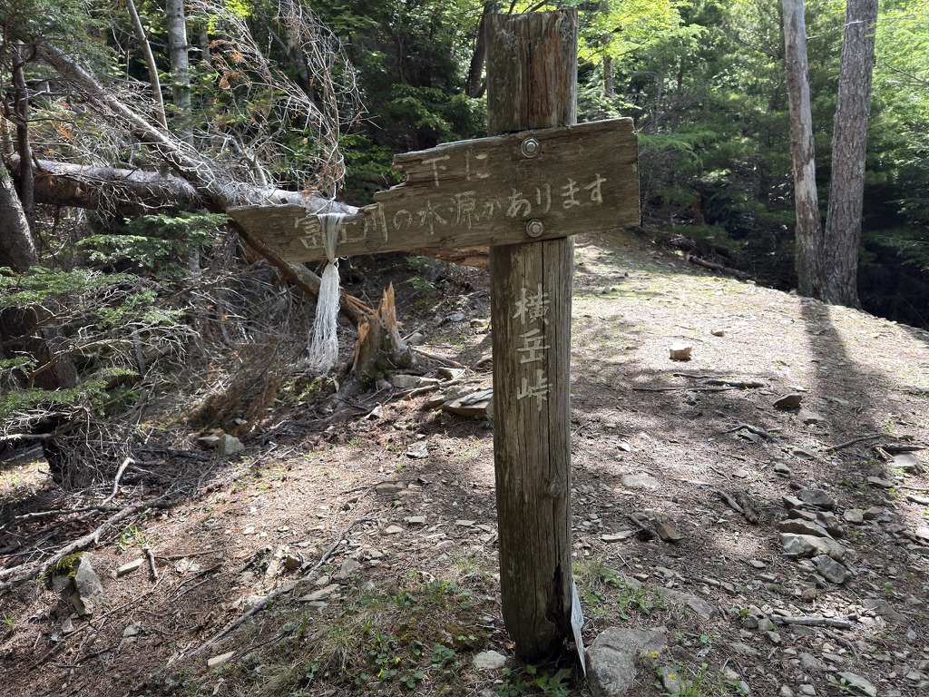 急登を乗り越え、横岳峠に着きました（横岳峠で撮影）