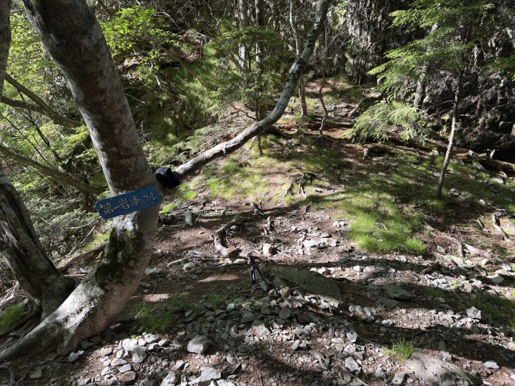 平地になっているので休憩ポイントです（第一岩峰のコルで撮影）