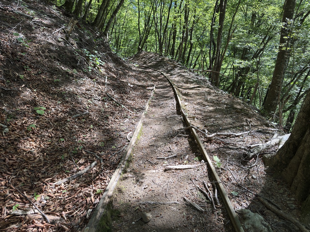 トロッコ軌道跡を歩きます(近丸新道で撮影)