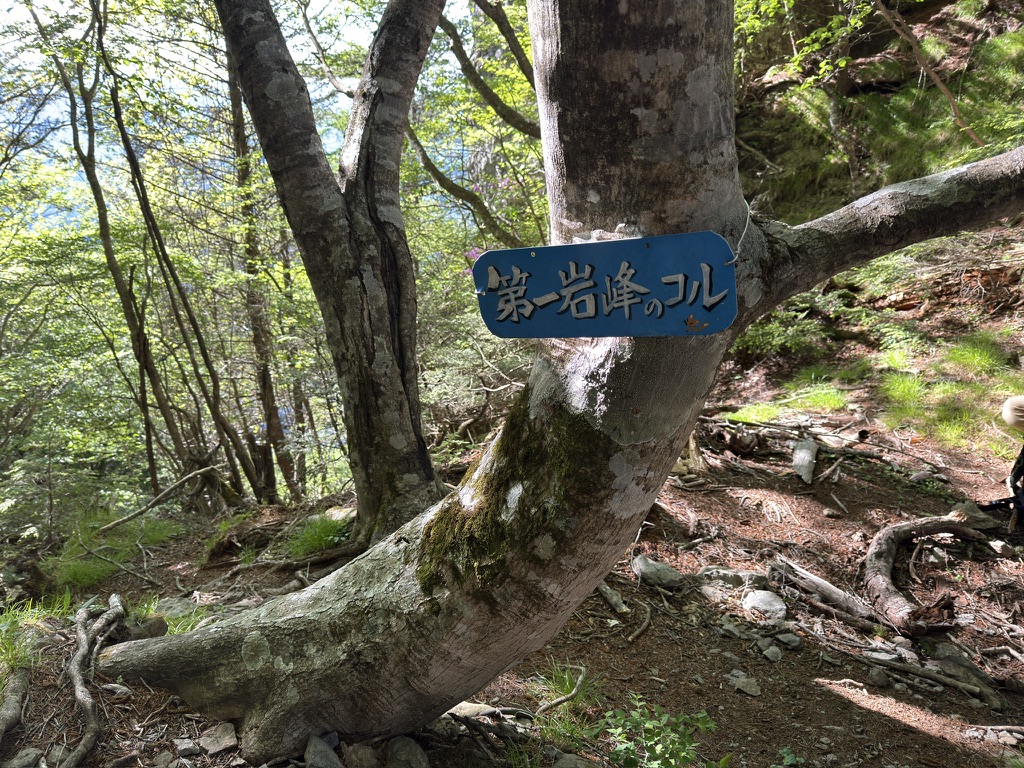 「第一岩峰のコル」看板（第一岩峰のコルで撮影）