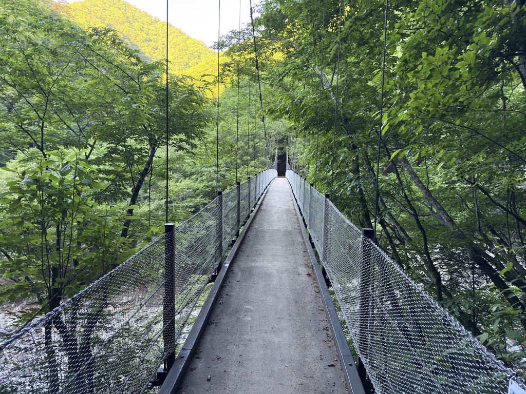 二俣吊橋　歩くと少し揺れます😅（二俣吊橋で撮影）