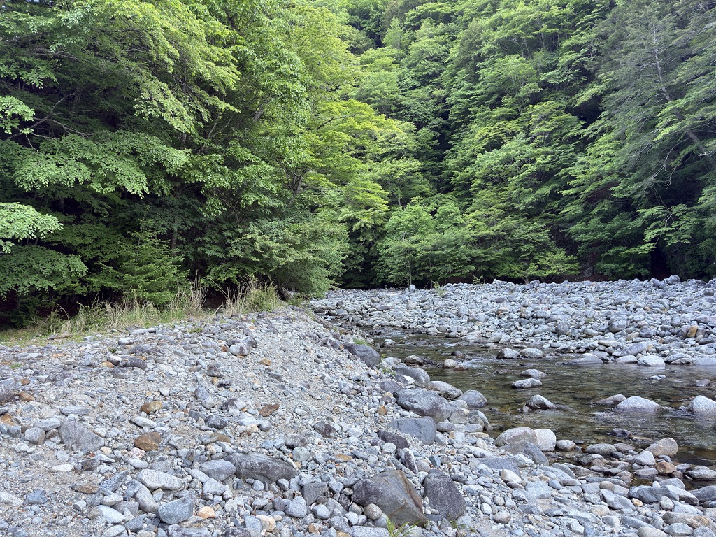 東沢の右岸を行きます（東沢で撮影）
