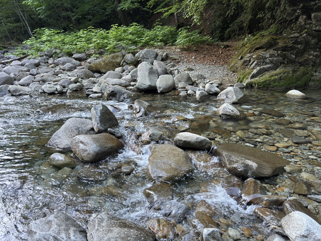 渡りきって撮影　沢に入って、このあたりを渡りました（鶏冠谷出合でさつえい）
