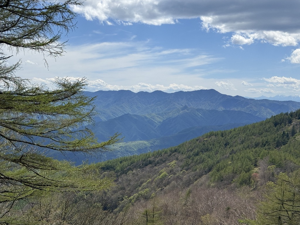 高丸山頂上付近から見る、小金沢連嶺 中央右が大菩薩嶺