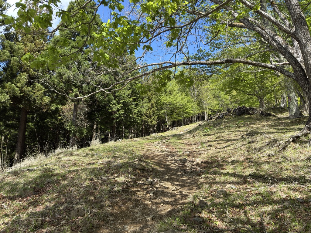 序盤から容赦ない狩倉山への急登