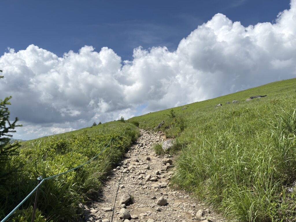 車山へ続く、比較的ゆるやかな登山道♪