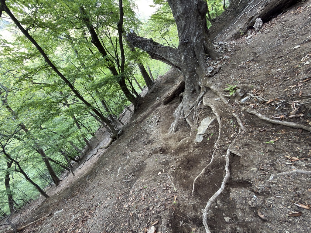 三条の湯から雲取山 滑りやすい箇所も多いので要注意