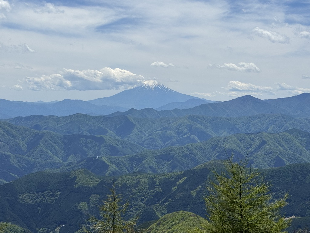 目の前に富士山どーん!(鷹ノ巣山から撮影)