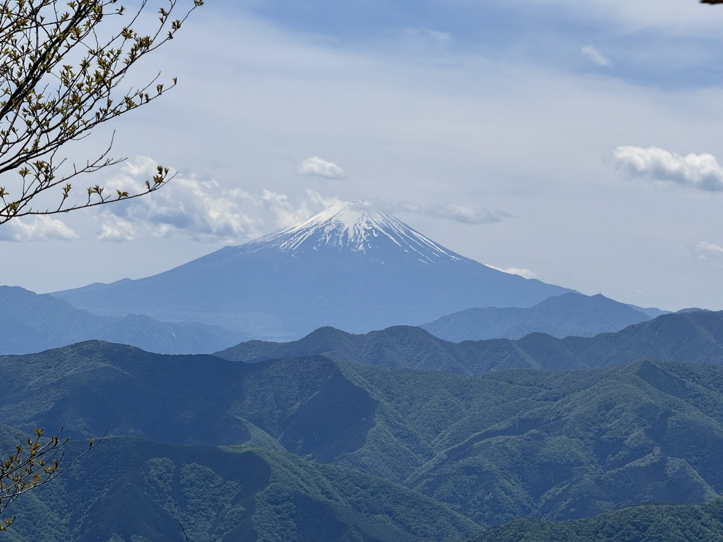 水根山から鷹ノ巣山の間で見れる、豪快な富士山展望