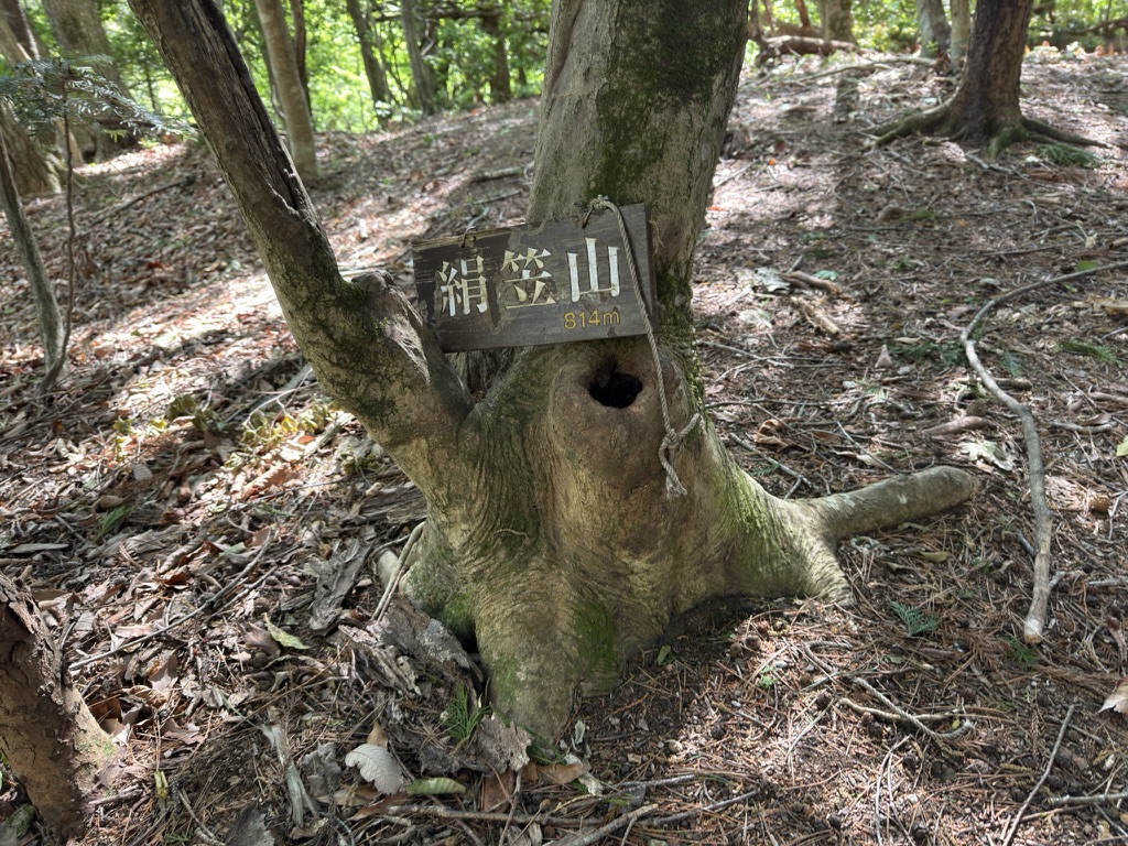 最初のピーク・絹笠山(標高814m)