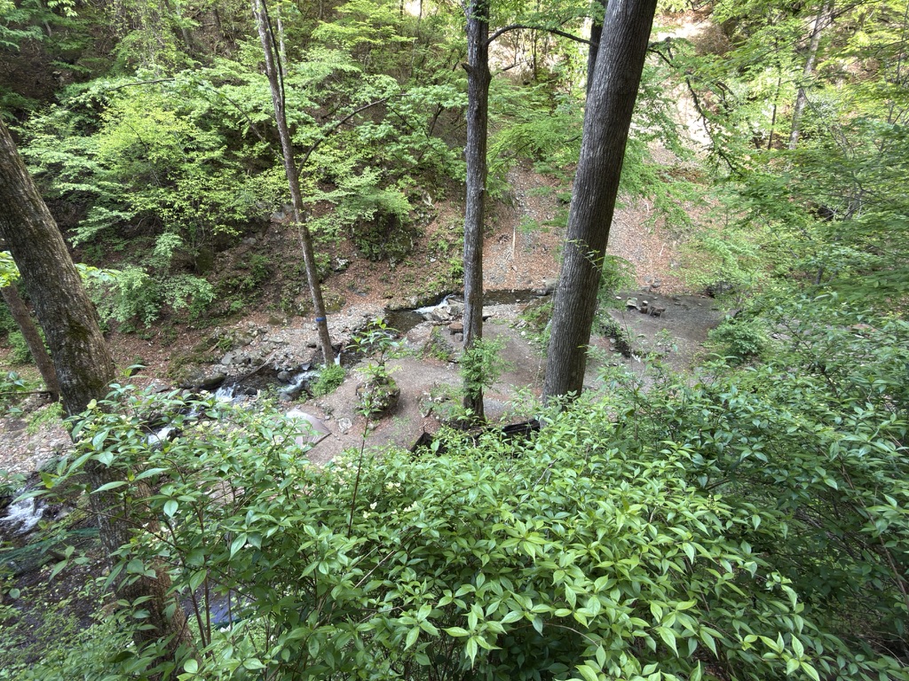 渓流沿いのテント場。次はここに泊まりたい