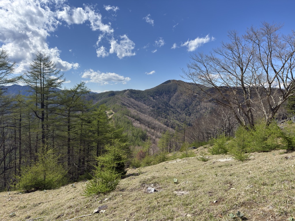 七ツ石山から見る「雲取山」 まだまだ遠く見えます