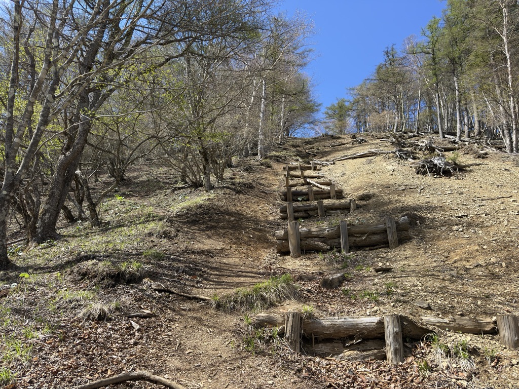 脚にじわじわくる、高丸山の急登