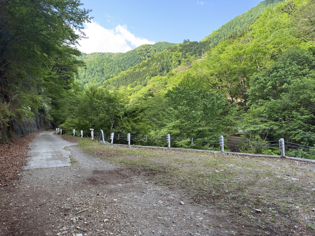 新緑の後山林道をひたすら歩く