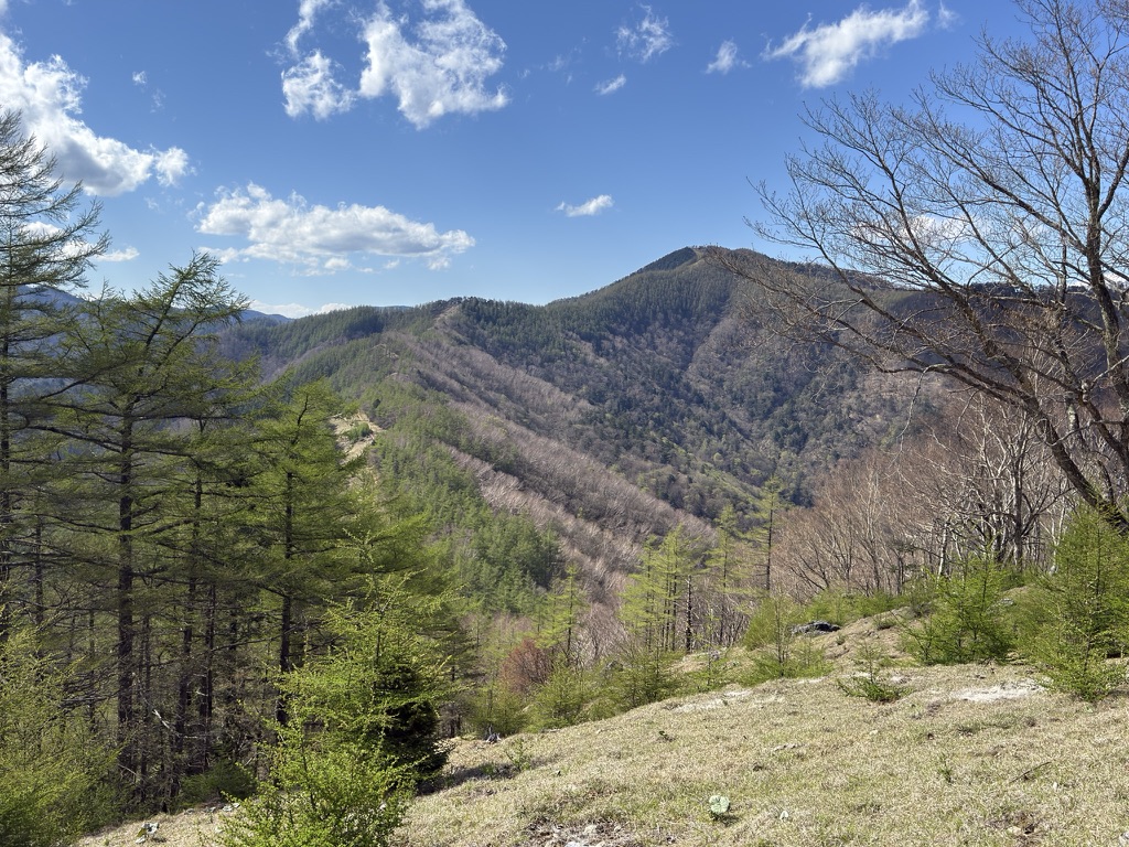 七ツ石山から見る雲取山 ようやく目の前まで来た!でも遠い。。