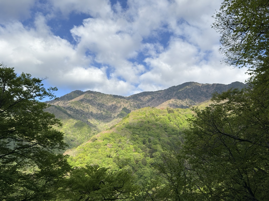 水無尾根から見る飛龍山