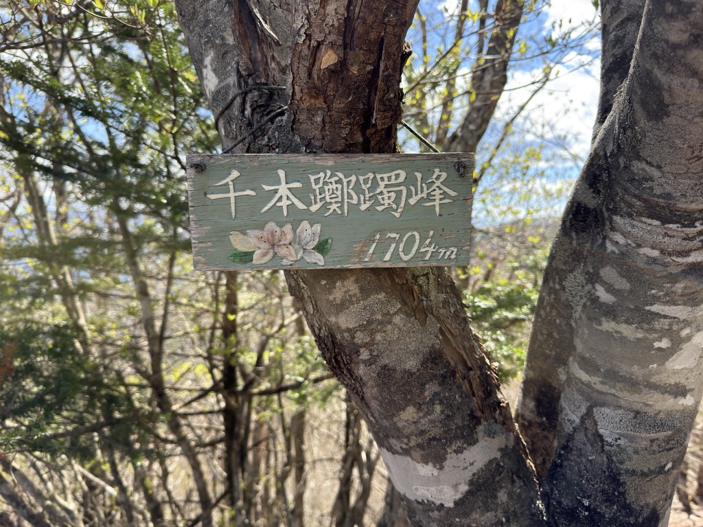 千本ツツジ 漢字で書くと雰囲気出ますね