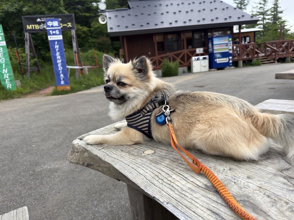 ゴンドラ山頂駅でお疲れのすい　満足気（笑）