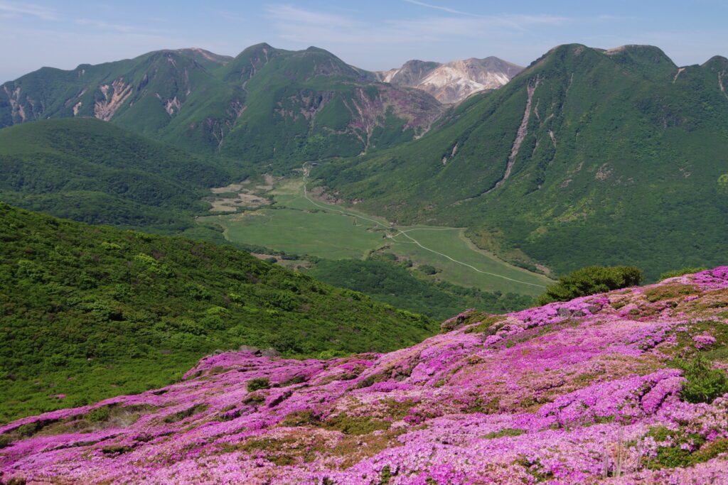 くじゅうの山々に囲まれた高原が「坊がつる」(平治岳から撮影)