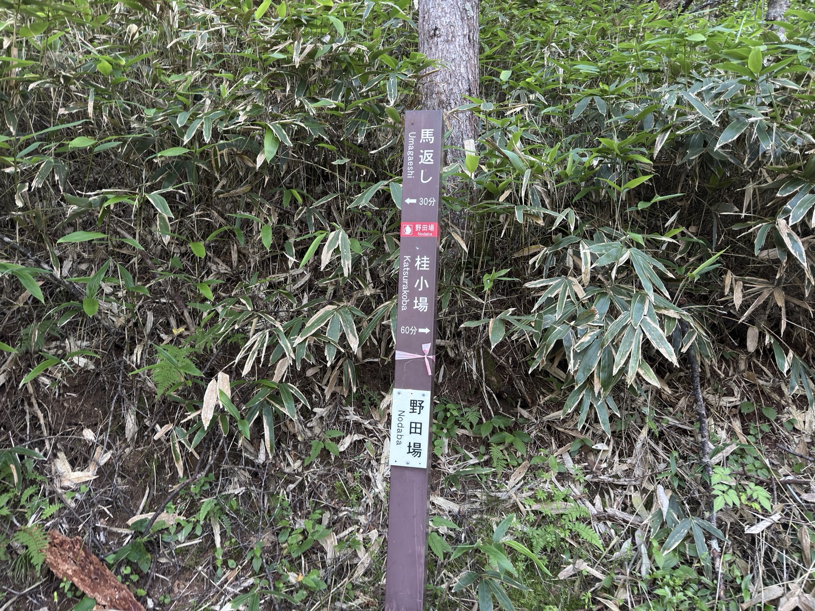 野田場の道標。馬返し30分、桂小場60分と書かれている