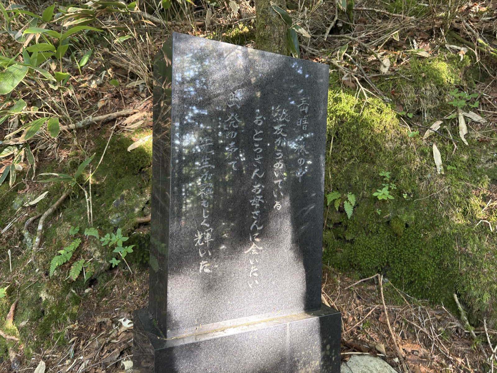 桂小場ルートの樹林帯に立つ落雷事故の石碑