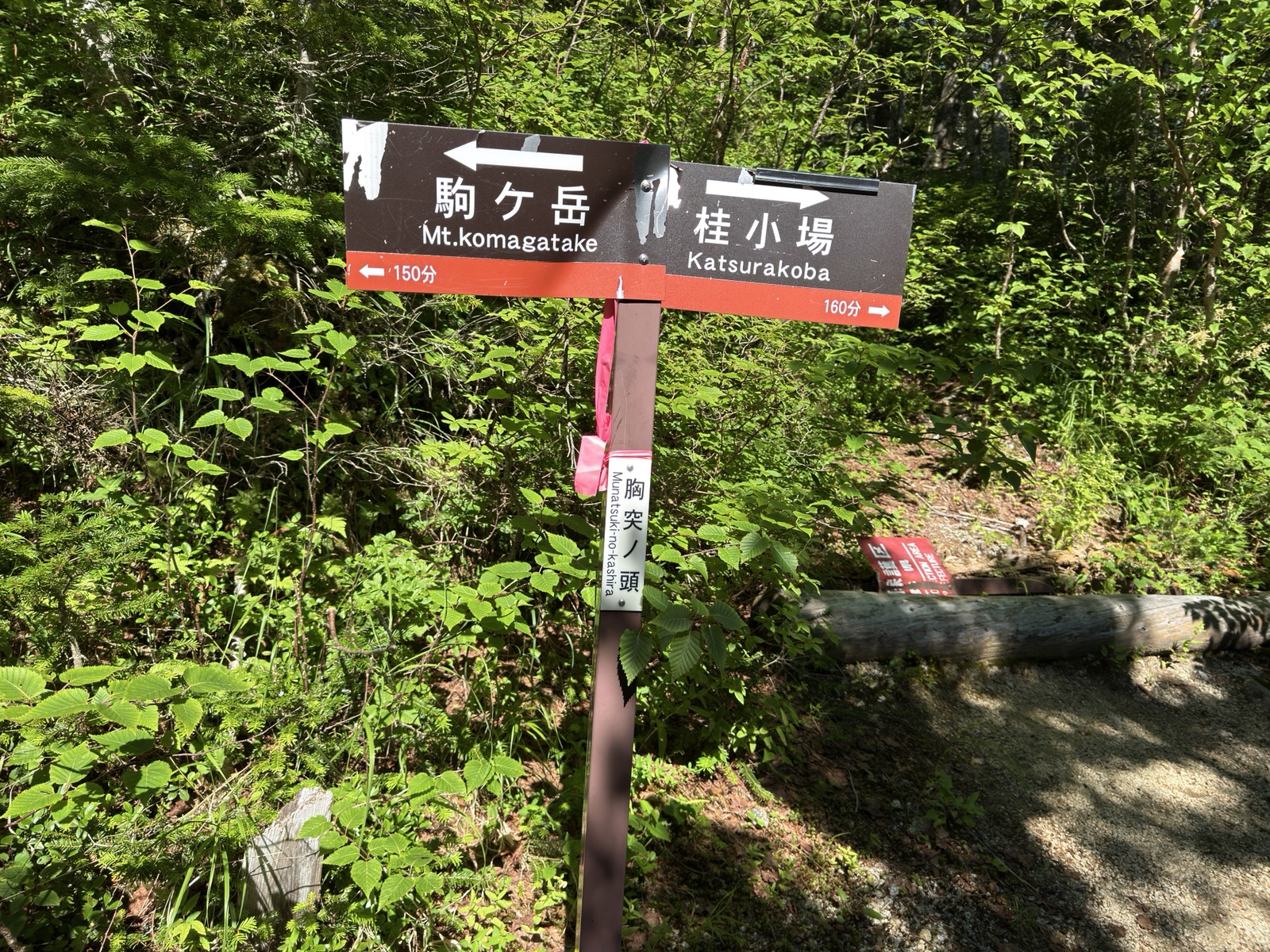 「胸突ノ頭」の標識。駒ケ岳まで150分、桂小場まで160分と書かれている