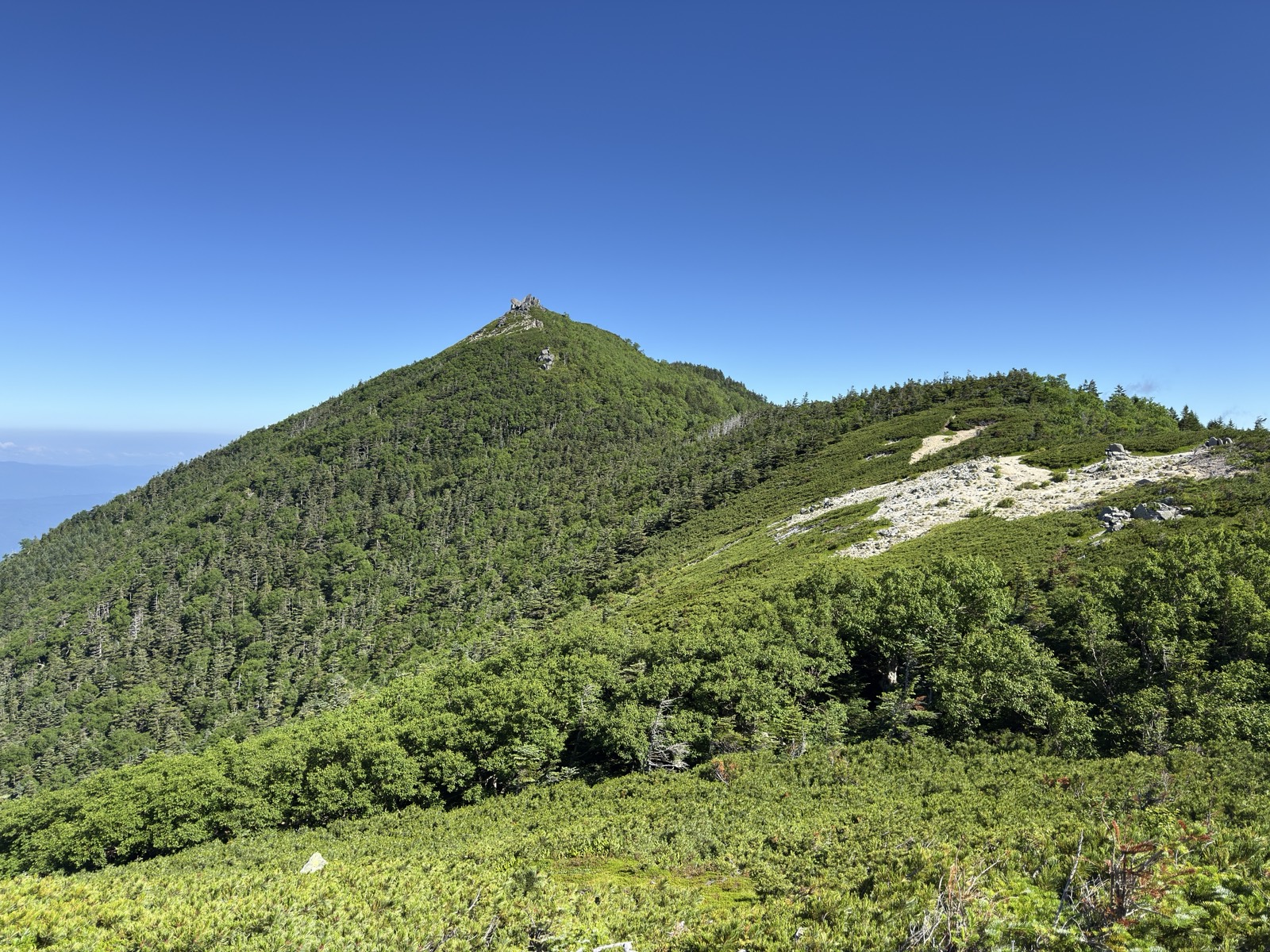 森林限界を抜けた瞬間。ハイマツ帯の向こうに行者岩の岩峰と青空