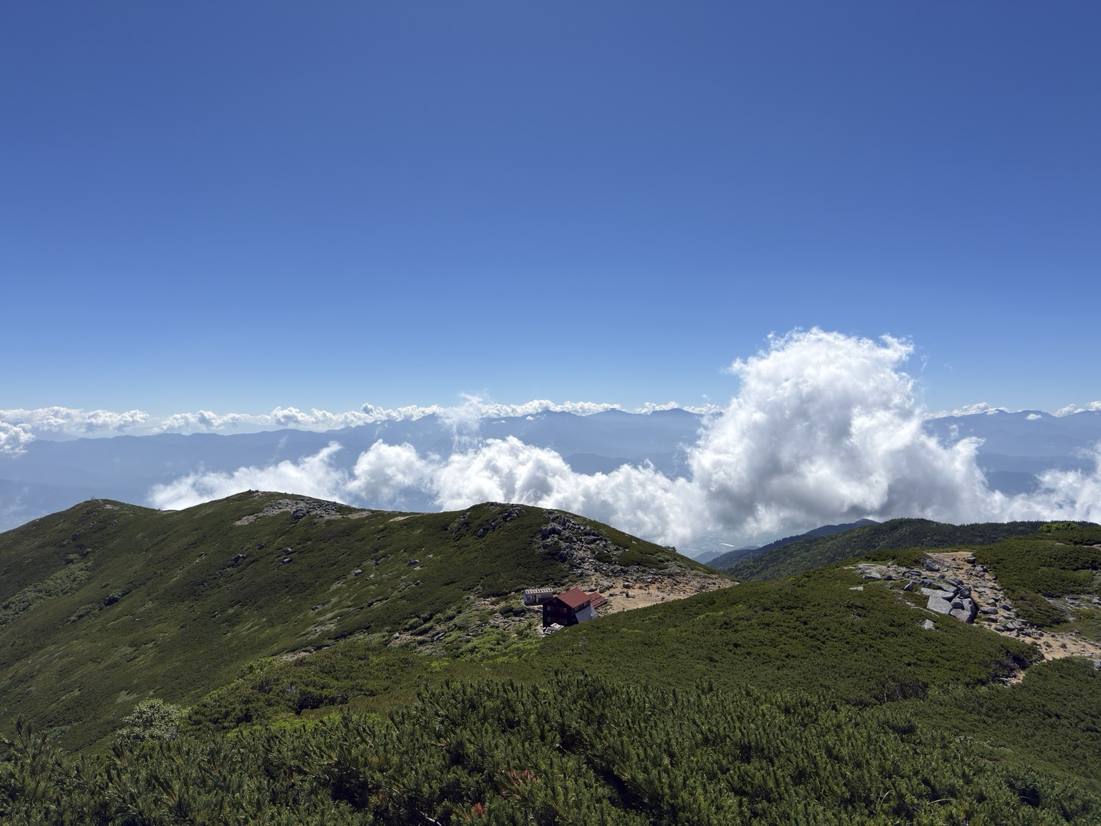 将棊頭山から見た雲海と南アルプスの稜線。右手前に西駒山荘