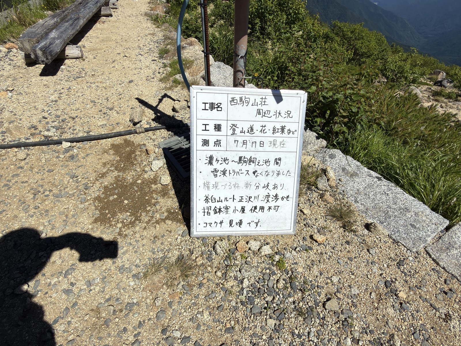西駒山荘の手書き周辺状況ボード。登山道の状況とコマクサの見頃