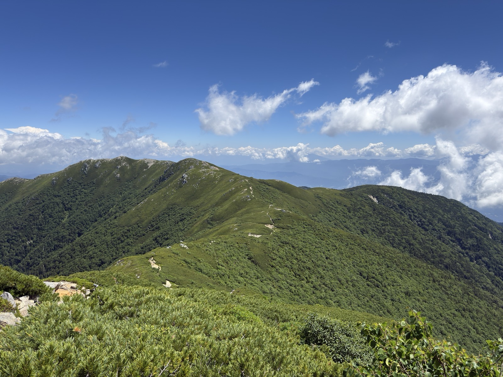 将棊頭山方面を振り返った稜線。雲が湧いている