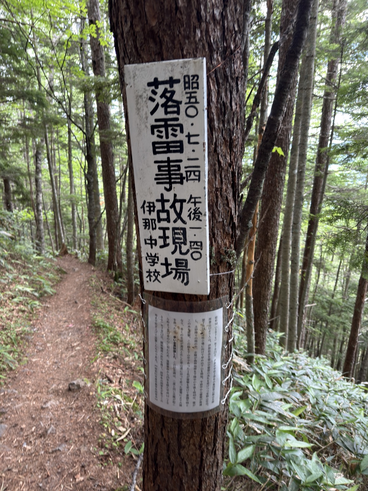 木に括りつけられた「落雷事故現場」の標識
