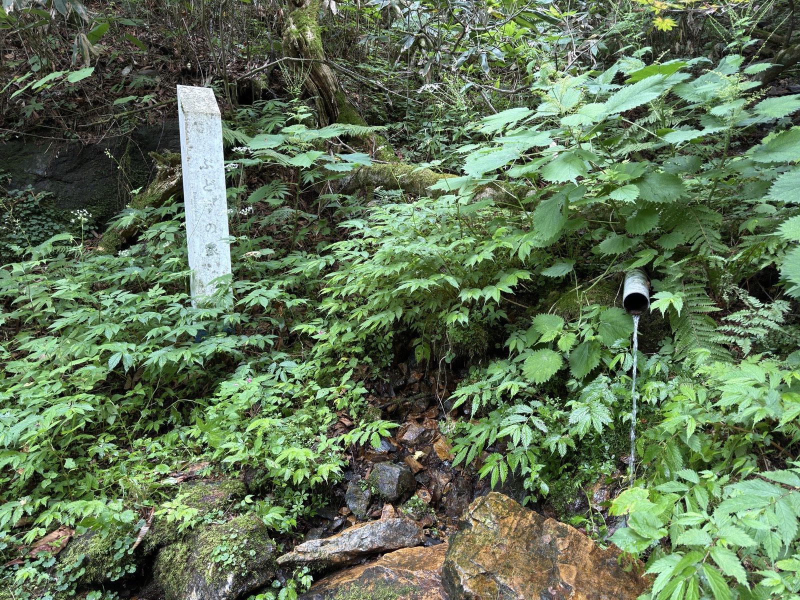 「ぶどうの泉」の石標とパイプから流れ出る水