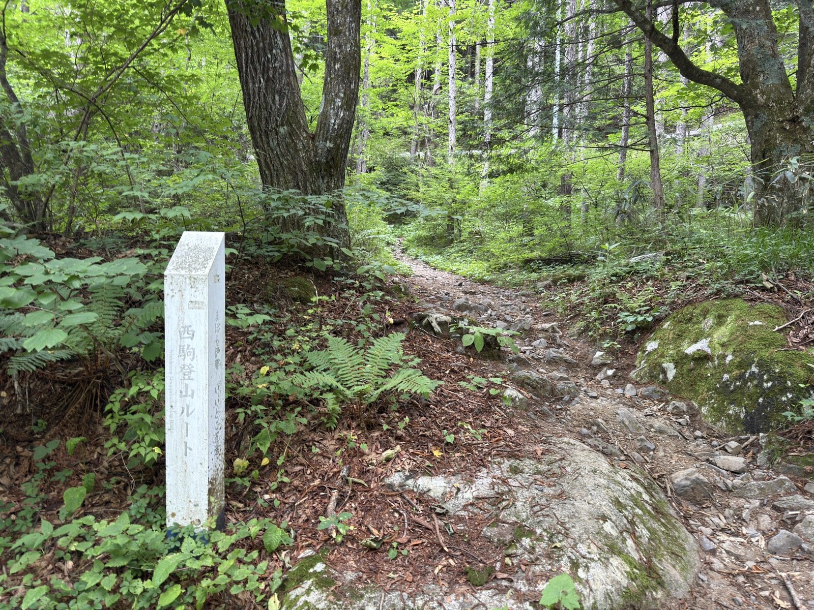 下山して戻ってきた「西駒登山ルート」の石標柱