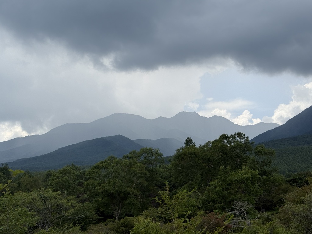 美し森の山頂からの眺め