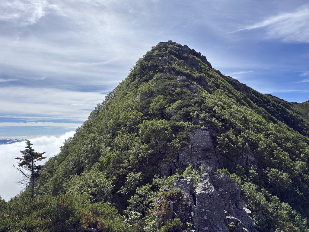 アサヨ峰の山頂近くの岩稜