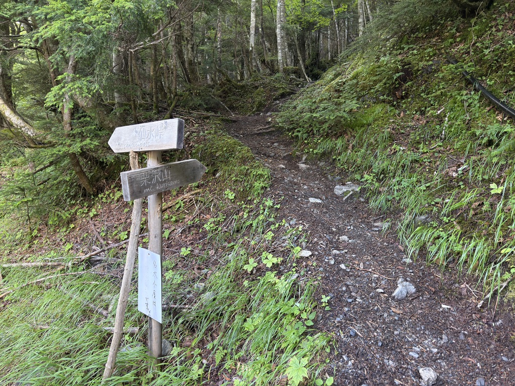 仙水峠と栗沢山の分岐標識。樹林帯の登山道