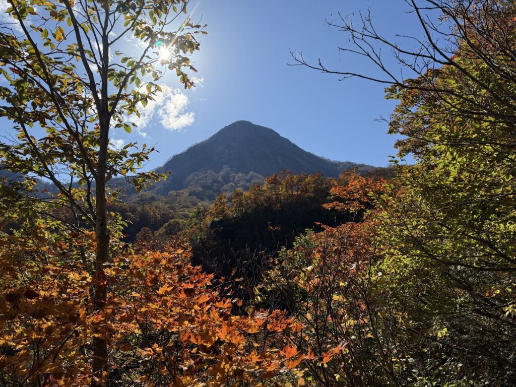 手前のオレンジの紅葉ごしに見る妙高山(妙高山で撮影)