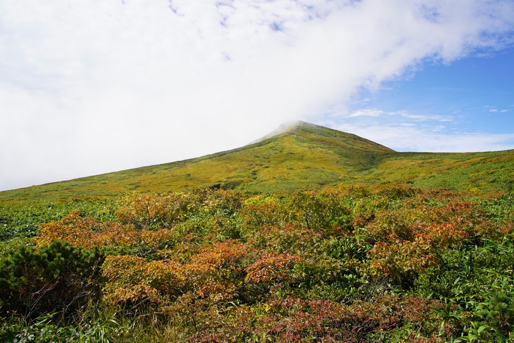 9月25日の栗駒山。緑の中に、色づき始めた葉が混じっていました