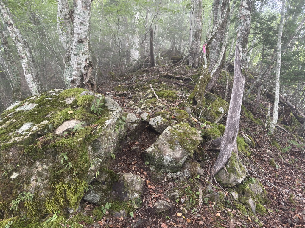 布引山までは、ほぼずっと急登でした