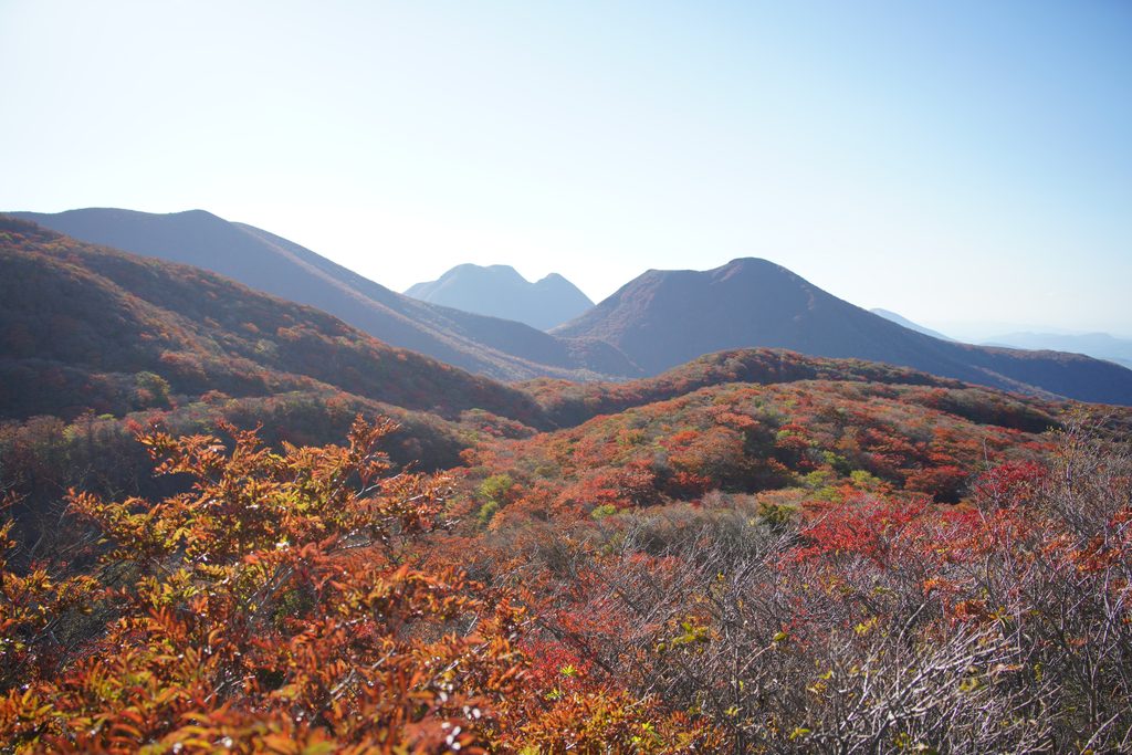 稜線から見た九重の山並み。斜面がまるごと赤い。