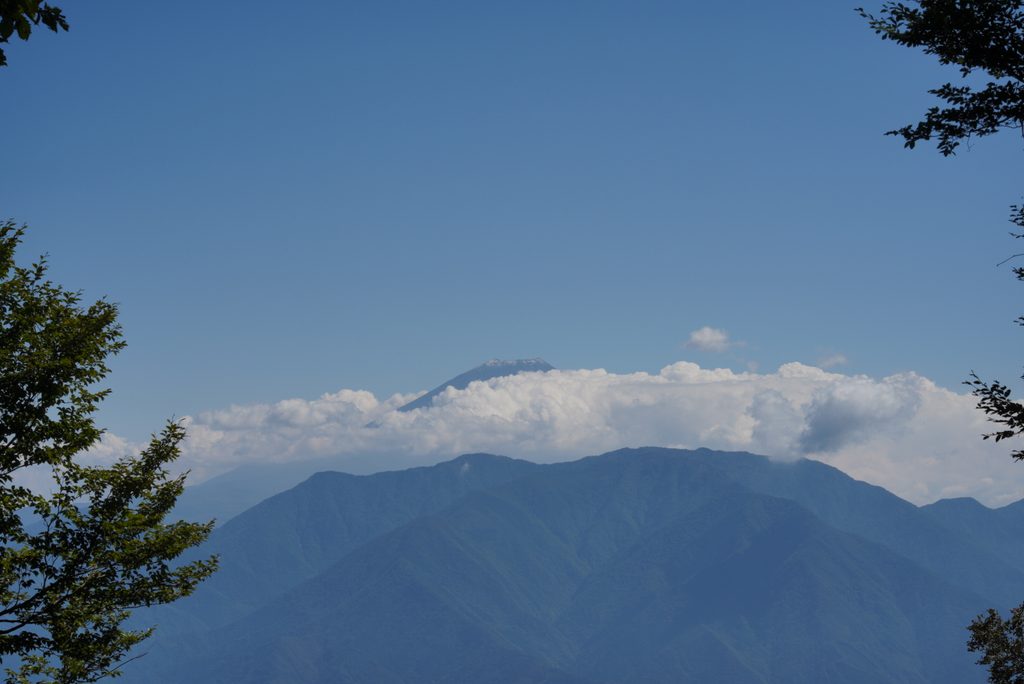 雲の上に富士山。山頂がうっすら白くなっていました